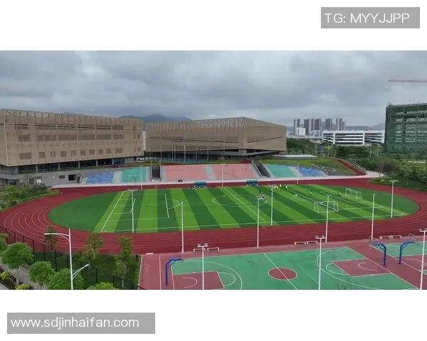 探索八人制足球场的魅力与发展潜力助力青少年足球运动的普及与提升